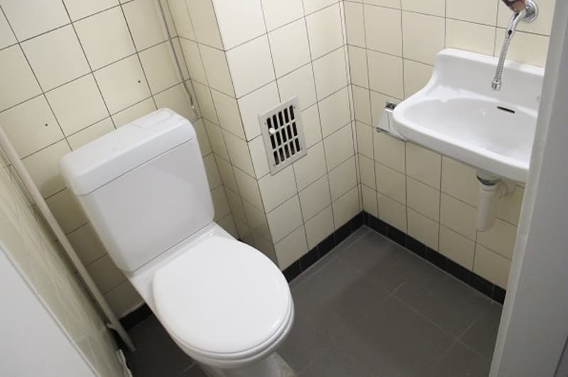 Helle und geräumige 3,5-Zimmerwohnung zu vermieten (4)