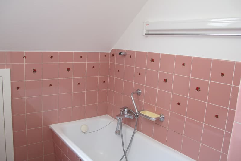 Grosszügige 3-Zimmer Dachwohnung (6)