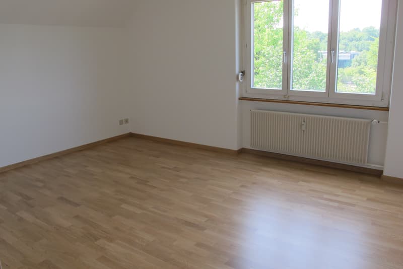 Grosszügige 3-Zimmer Dachwohnung (4)