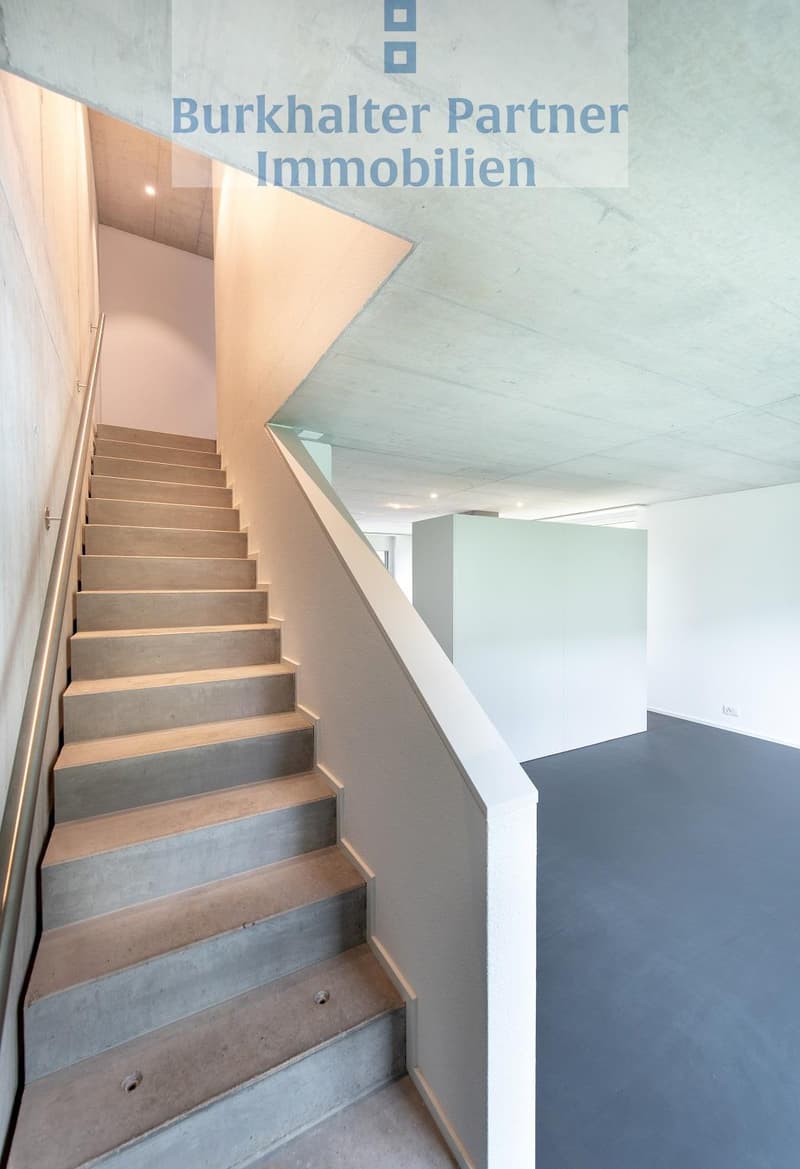 Ihr neues Zuhause in Lyss? (7)