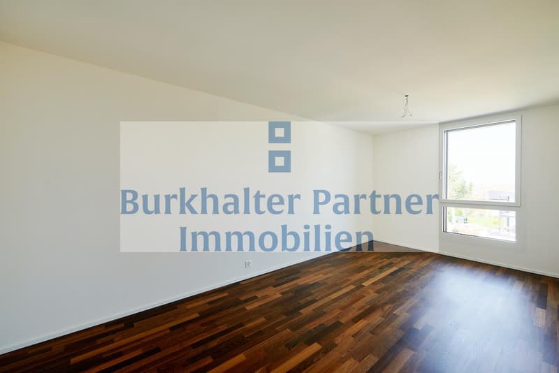 Grosse Attikawohnung gesucht? (6)