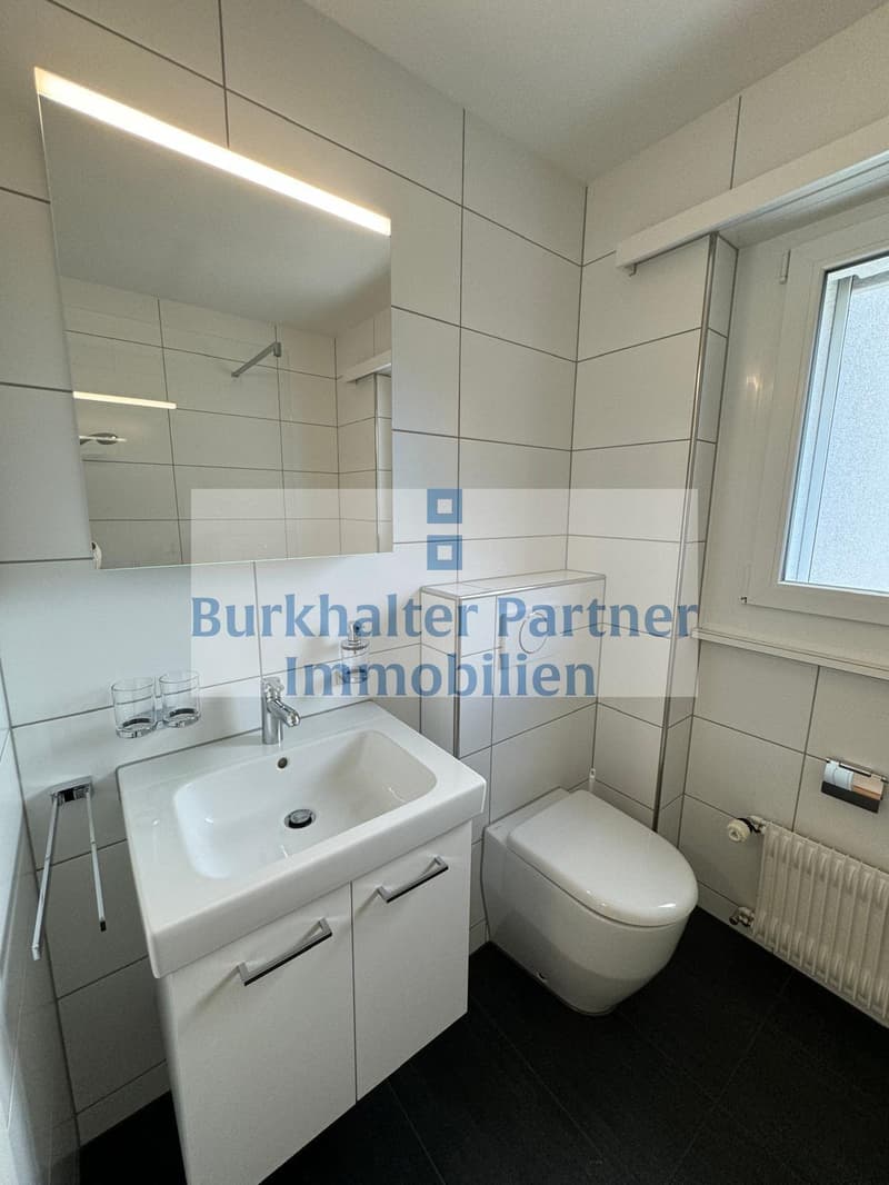 Suchen Sie eine grosszügige Wohnung in zentraler Lage? (3)