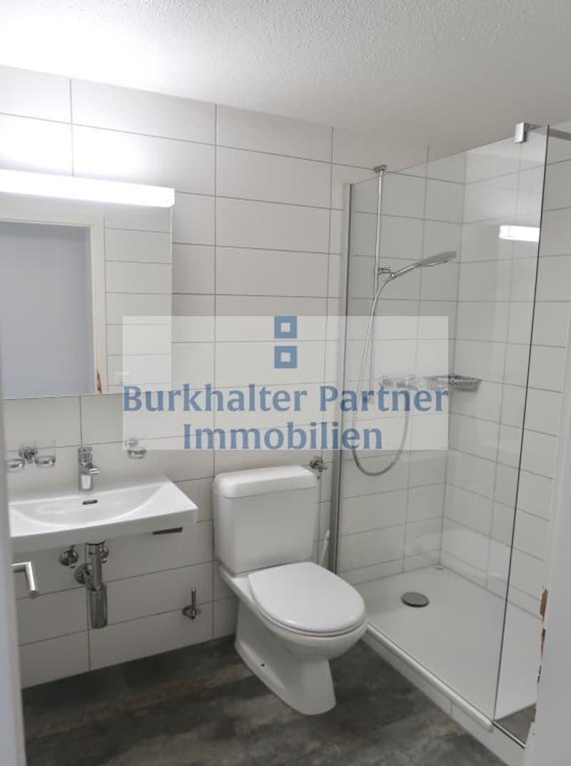 4.5-Zimmerwohnung mit Blick auf die Alpenkette! (3)