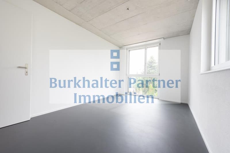 Stilvolle Duplexwohnung mit grosszügigem Grundriss (7)