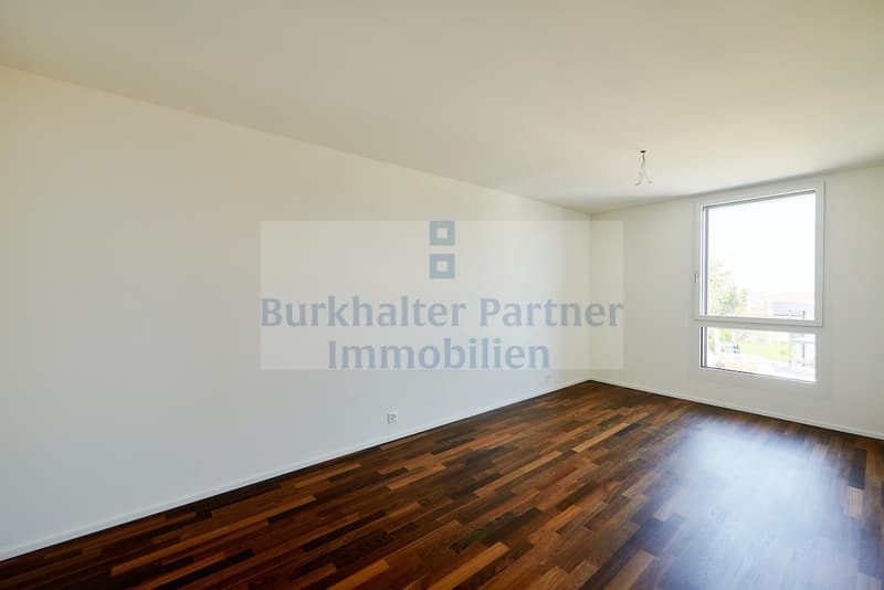 Grosse Attikawohnung gesucht? (6)