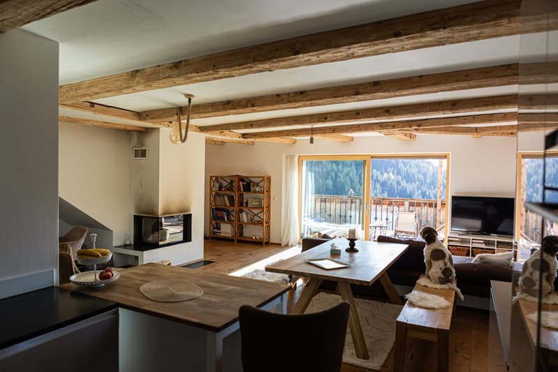 wooden beams, open living room with fireplace, balcony, dining table, TV, balcony, dog
