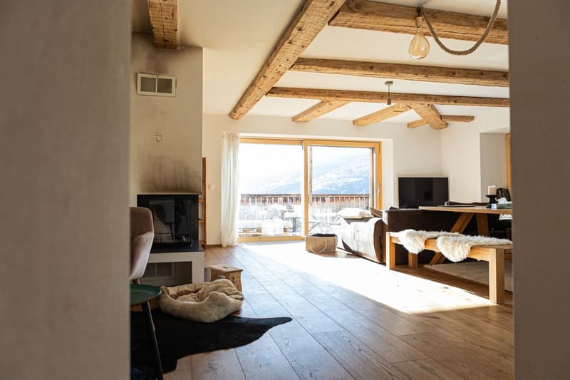 open floor plan, wooden floor, fireplace, sliding glass doors, balcony with mountain view, brown couch, wooden bench with white fur cushions, brown armchair, television, dog bed, black rug