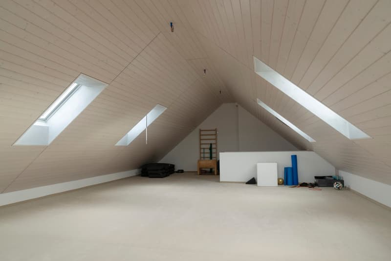 Wooden ceilings, white walls, skylights, storage bags, blue yoga mats, weights, football