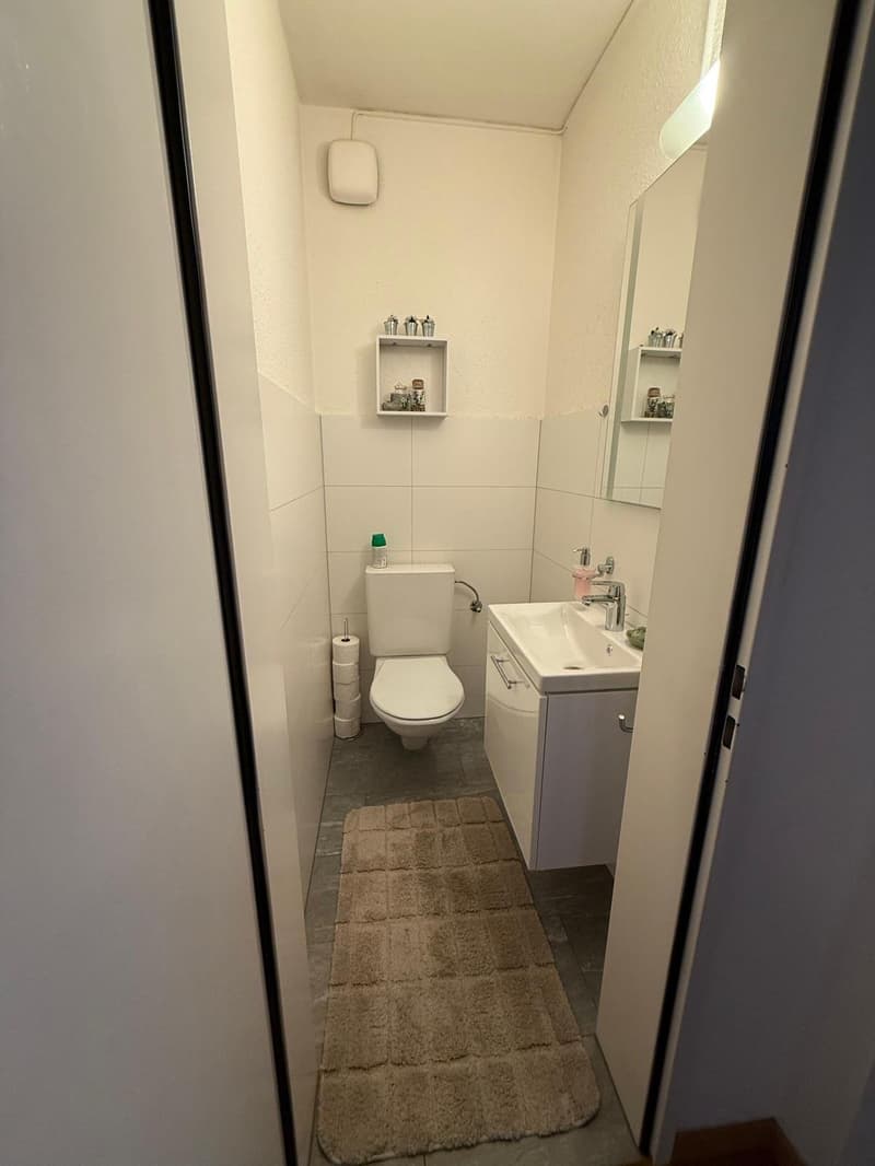 Helle 5.5 Zimmer-Wohnung in Thusis – ab sofort verfügbar! (9)