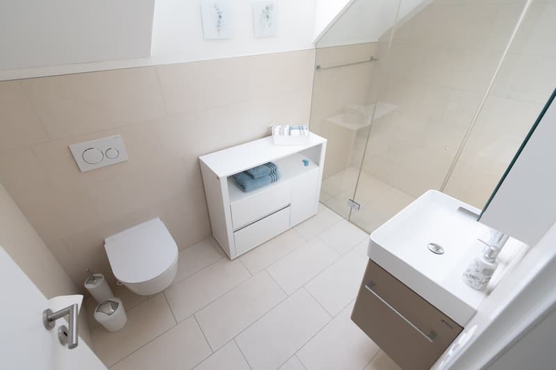 Sehr schöne 3.5-Zimmer-Dachwohnung mit toller Aussicht in Jenins (9)