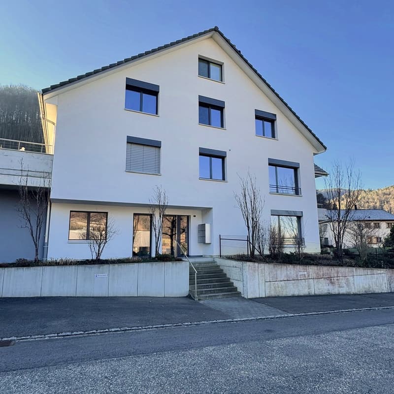 Comfort ultime au-dessus des toits d'Oberdorf (15)