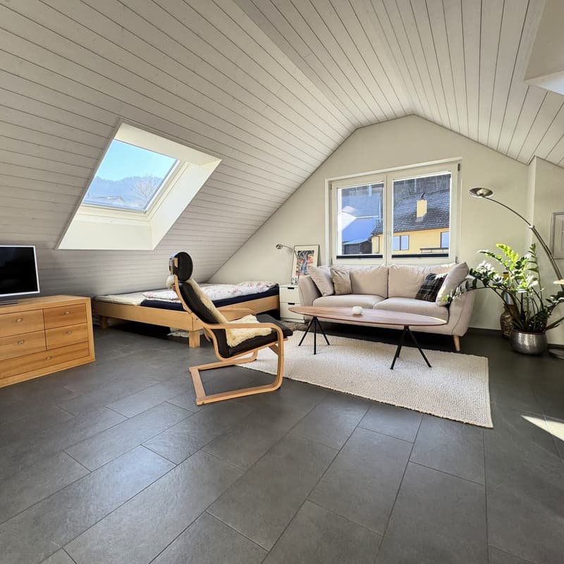 Comfort ultime au-dessus des toits d'Oberdorf (6)
