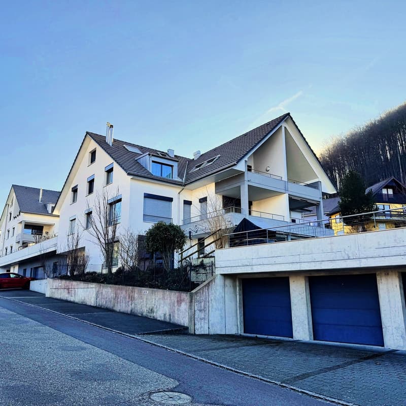 Comfort ultime au-dessus des toits d'Oberdorf (14)
