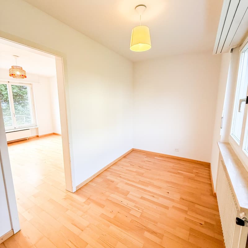 empty room with white walls, wooden floor, windows, lamps, radiator