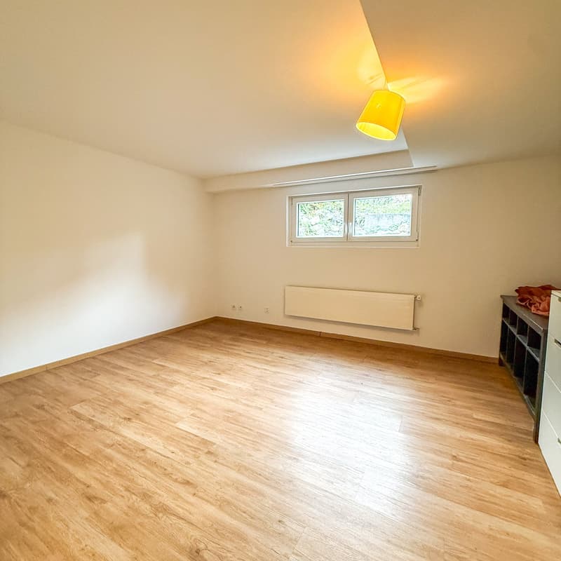 empty room, wooden floor, white walls, ceiling lamp, window, heater