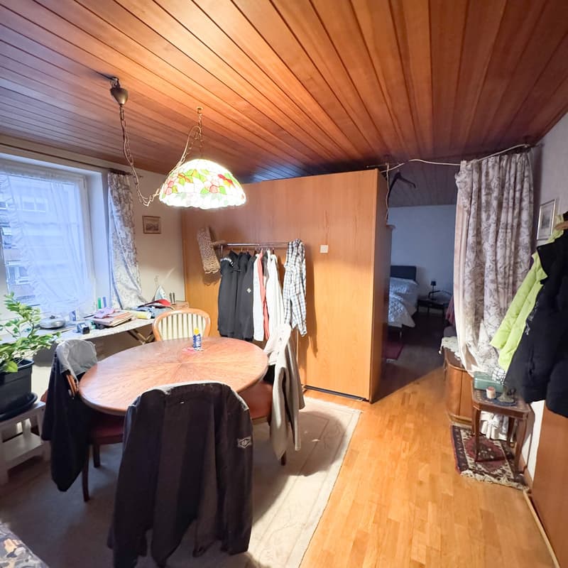 Round wooden table, chairs, wardrobe, clothing rack, carpet, plant, picture frame, hanging lamp