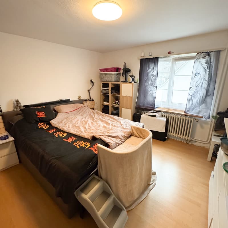 Large bed, wooden floor, white walls, window with curtains, shelf, radiator, round bed cover, blanket, blanket with print, pet step.
