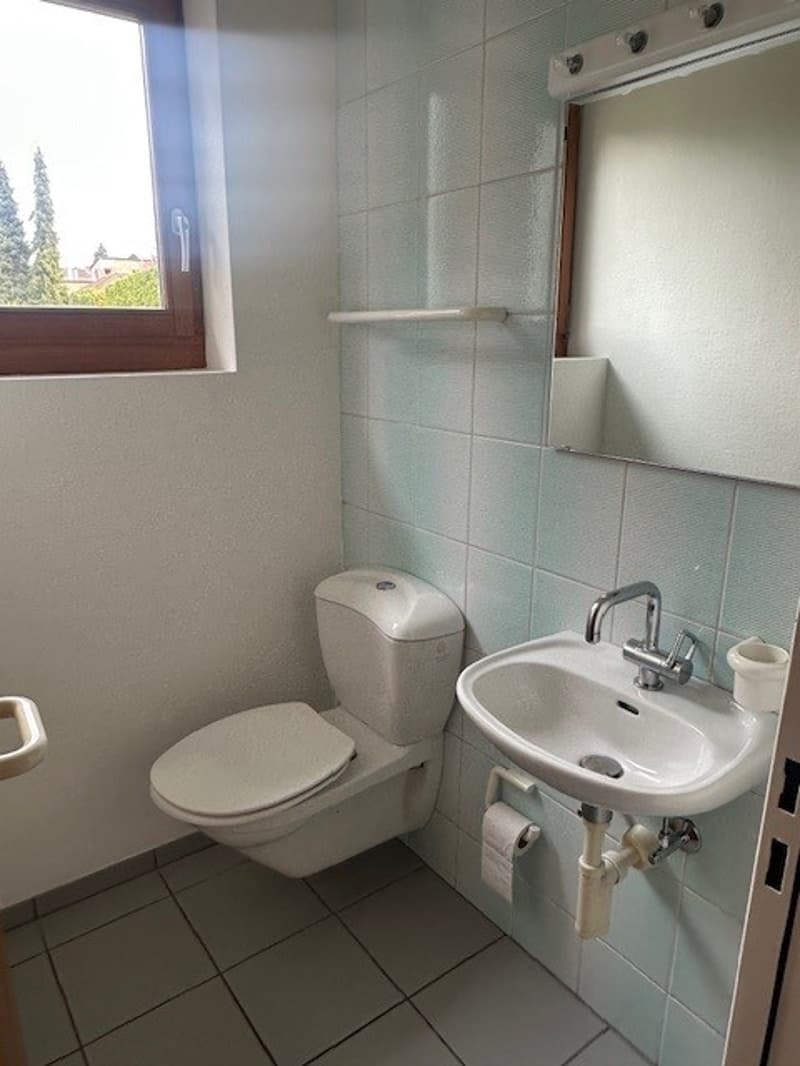 6.5-Zimmer-Einfamilienhaus mit einzigartiger Raumstruktur (5)