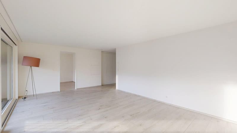 Empty room with white walls, wooden floor, sliding glass door, lamp, and closet