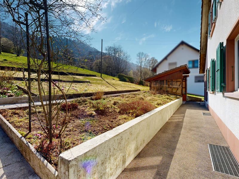 concrete wall, plants, grass, pathway, house, mountains, trees