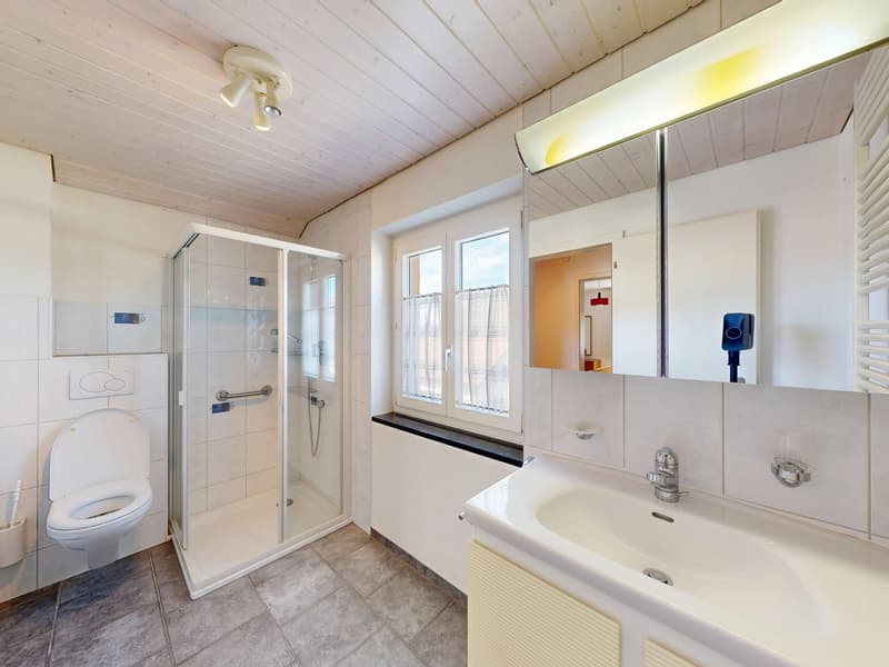 Bathroom with shower, toilet, sink, mirror, and window