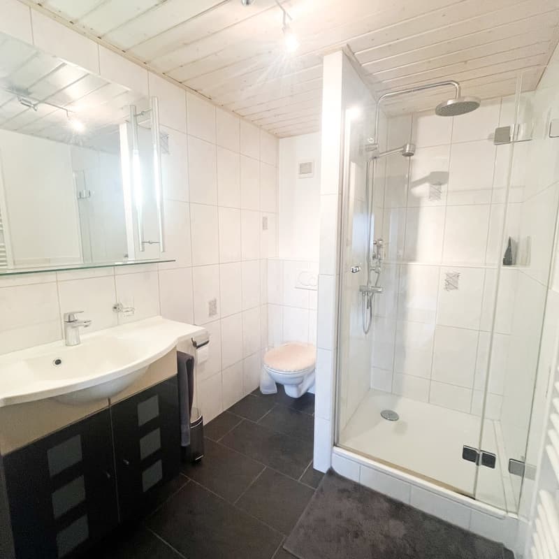 Bathroom with a shower, sink, toilet, and mirror