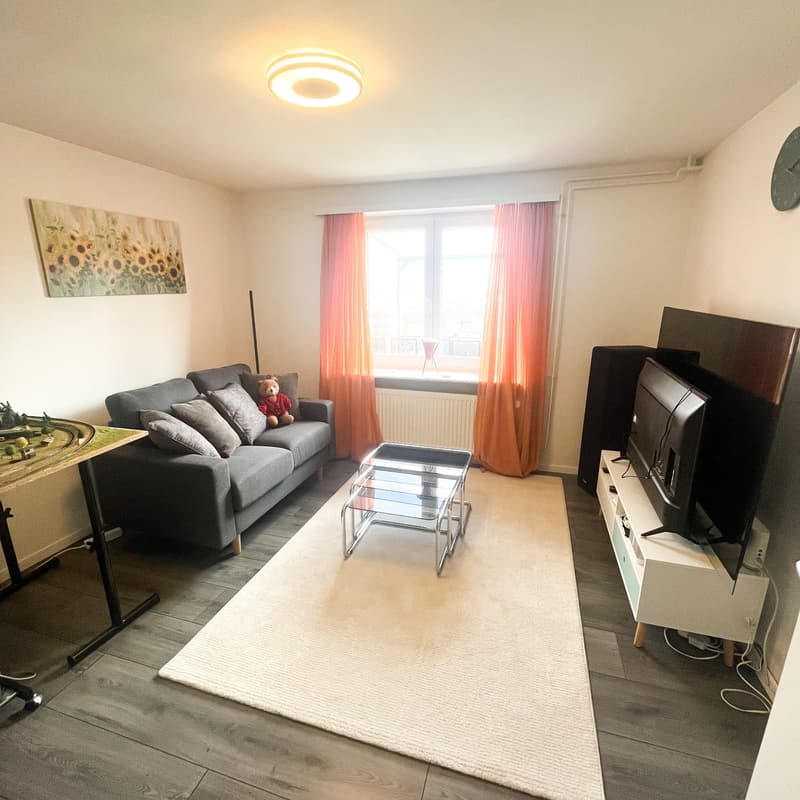 Gray sofa, coffee table, carpet, framed picture, television, white shelf