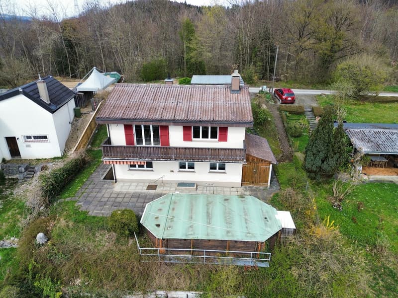 Detached house, brown roof, red shutters, swimming pool, red car parked