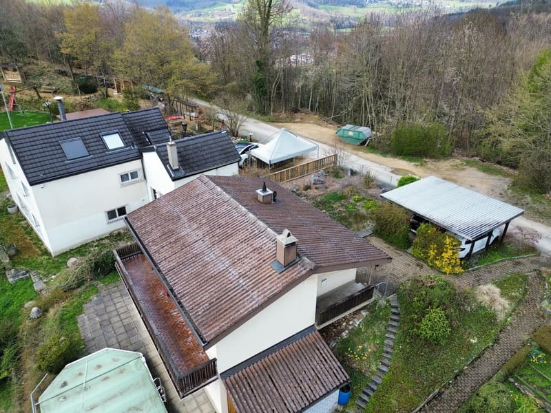 Two houses, one with a brown roof and one with a black roof, surrounded by trees and a road, with a car parked under a canopy
