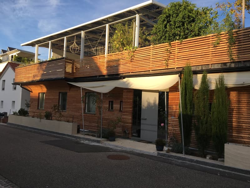 Casa unifamiliare 5,5 locali con terrazza sul tetto unica (2)