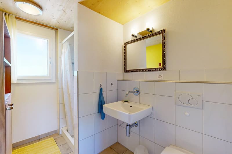 4.5-room single-family house in a natural environment (10)