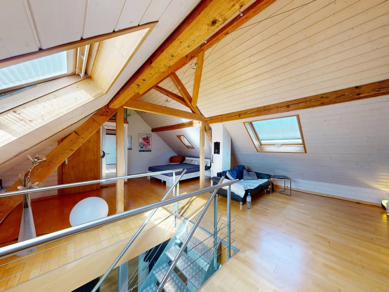 House with versatile usage possibilities (13)