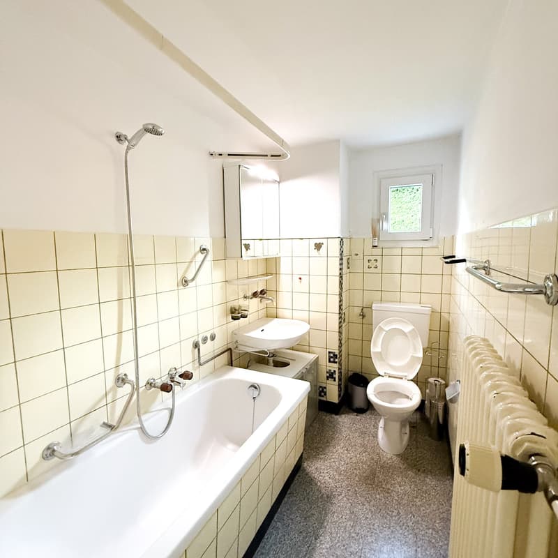 House with versatile usage possibilities (20)