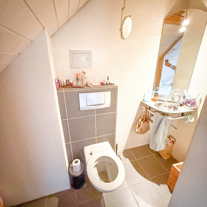 House with versatile usage possibilities (19)