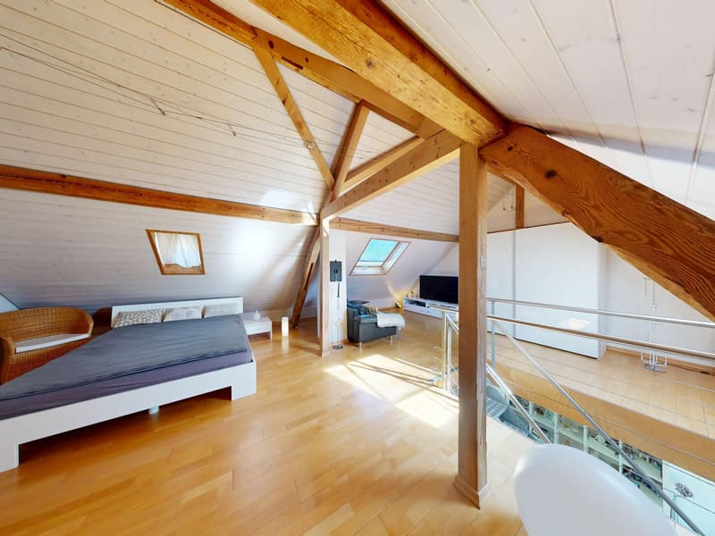House with versatile usage possibilities (14)