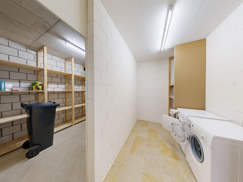 4.5-Zimmer-Terrassenwohnung mit atemberauender Weitsicht (15)