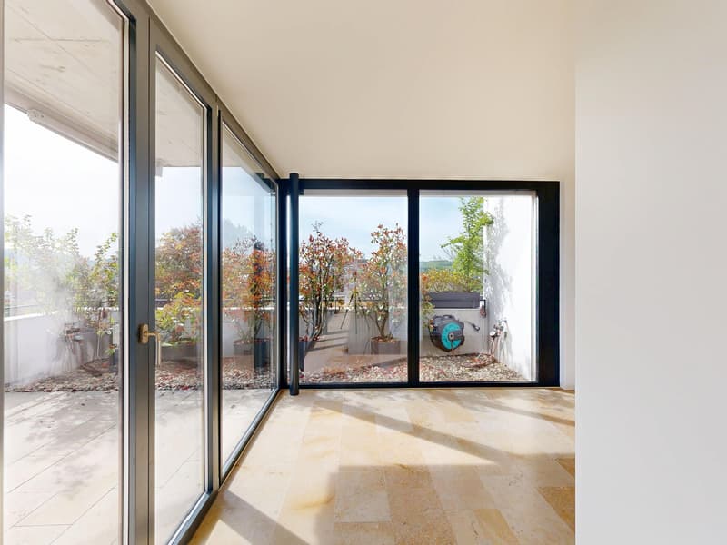 4.5-Zimmer-Terrassenwohnung mit atemberauender Weitsicht (9)
