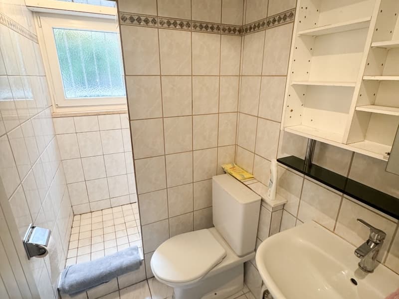 6.5-Zimmer Einfamilienhaus an traumhafter Lage (13)
