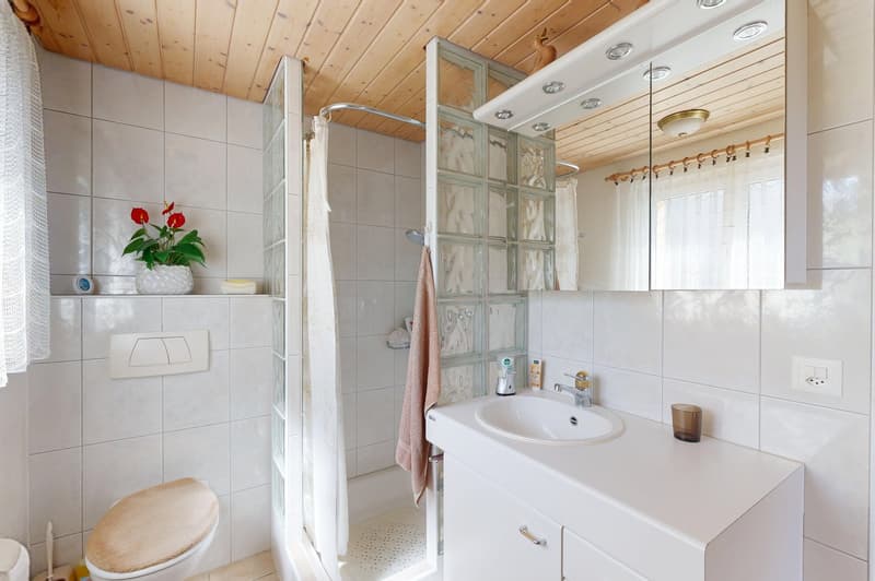 6.5-Zimmer Eckhaus mit grosszügigem Garten (7)