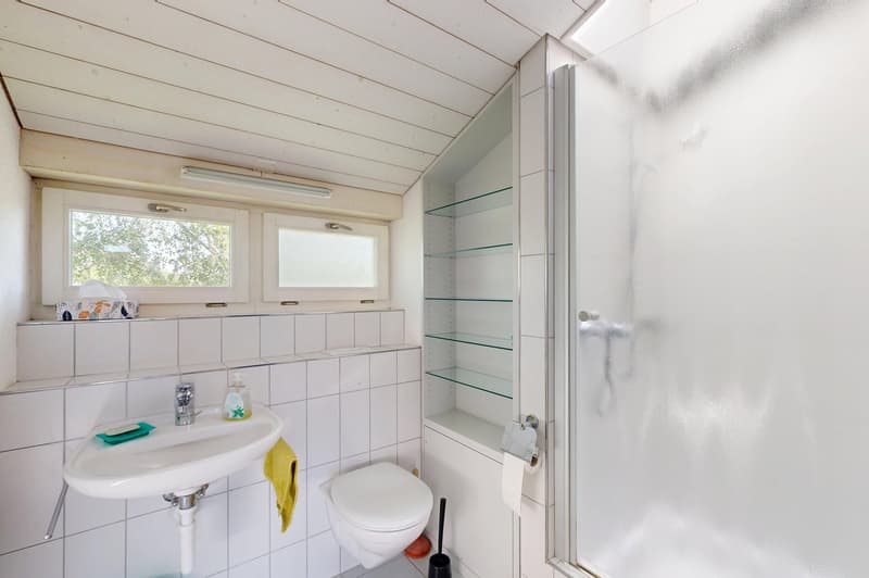 Exklusives 5.5-Zimmer Einfamilienhaus mit weitläufigem Aussenbereich (13)