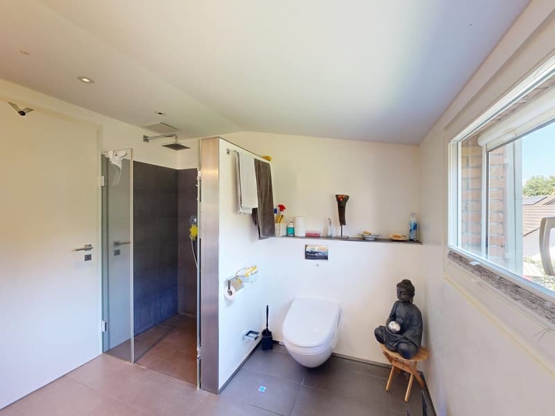 Stilvolles 6.5-Zimmer-Einfamilienhaus an Toplage in Münchenstein (15)