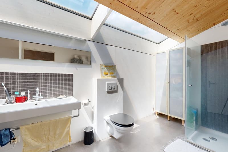 4.5-Zimmer Minergie-Haus mit Oekonomiegebäude (5)