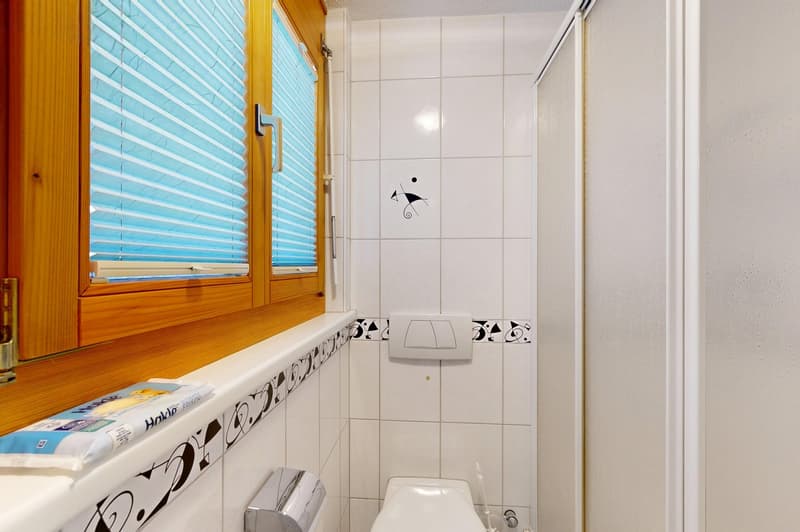 3.5-Zimmer Maisonettewohnung mit unverbaubarem Ausblick (10)
