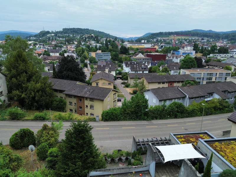Charmante 4.5-Zimmer-Terrassenwohnung in Liestal (3)