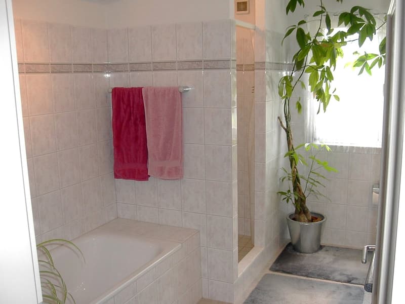 6-Zimmer Dach- Maisonette-Wohnung mit Wintergarten und schöner Terrasse (10)