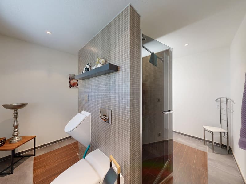 Exklusives 4.5-Zimmer Einfamilienhaus an ruhiger Lage (10)
