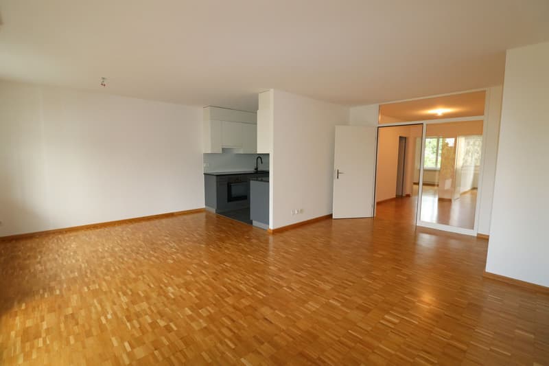 Wohnung unweit der deutschen Grenze - helle 5.5-Zimmerwohnung in Riehen zu vermieten (2)