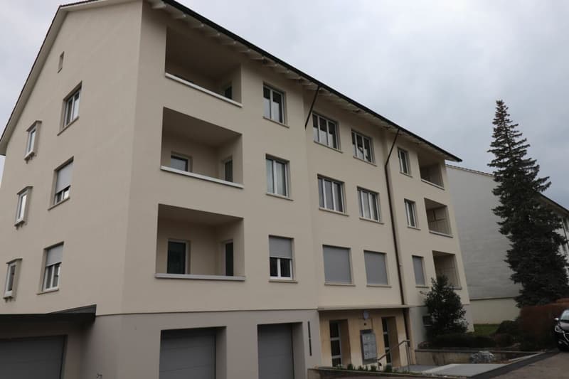 Reinach, Nähe Dorfzentrum - moderne 3-Zimmerwohnung an der Alemannenstrasse (11)