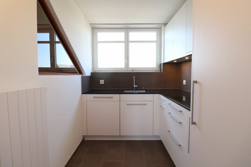 Im beliebten Freuler-Quartier - moderne Maisonette-Dachwohnung mit 2 Balkonen (5)