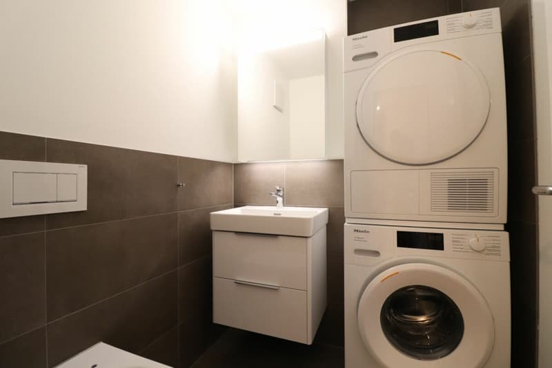 Im beliebten Freuler-Quartier - moderne Maisonette-Dachwohnung mit 2 Balkonen (10)